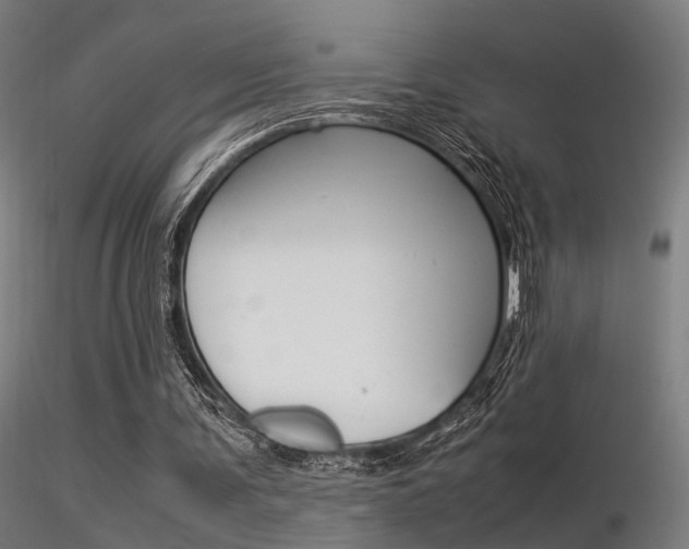 X0000116370291200912021016