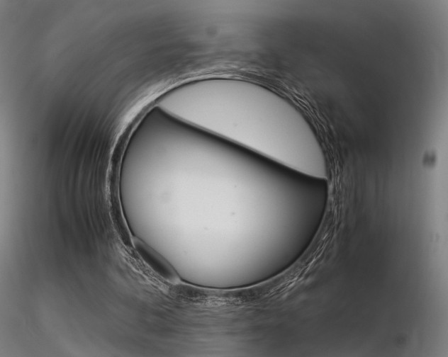 X0000116370292200912021016