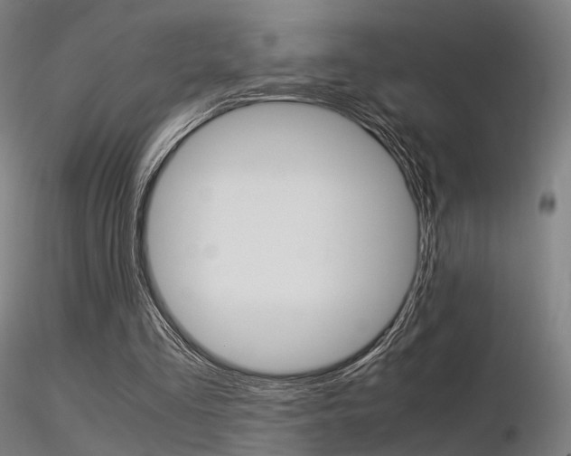 X0000116370293200912021016