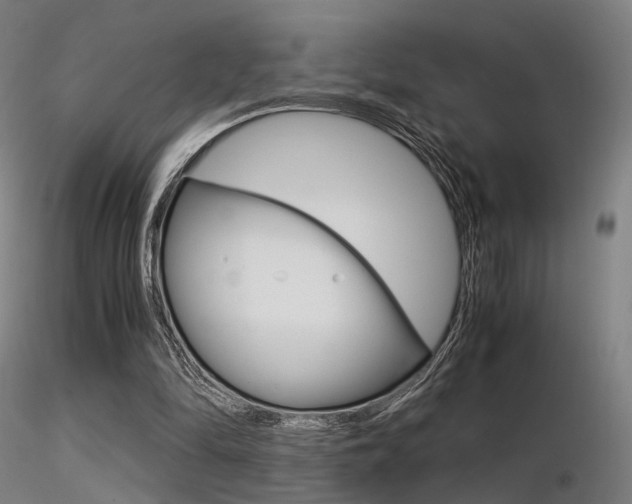 X0000116370294200912021016