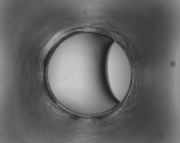 X0000116370295200912021016