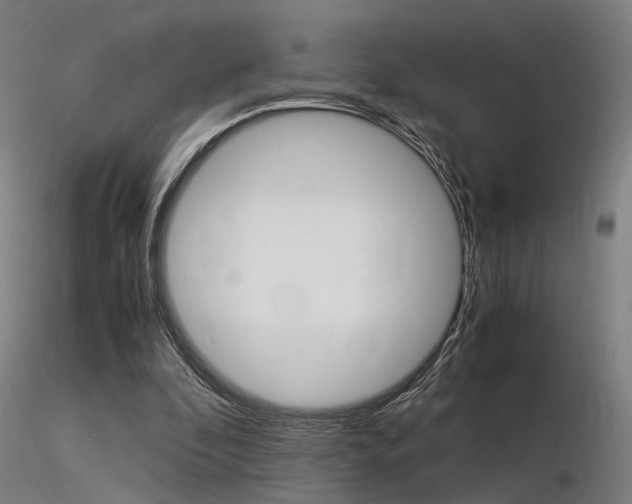 X0000116370296200912021016