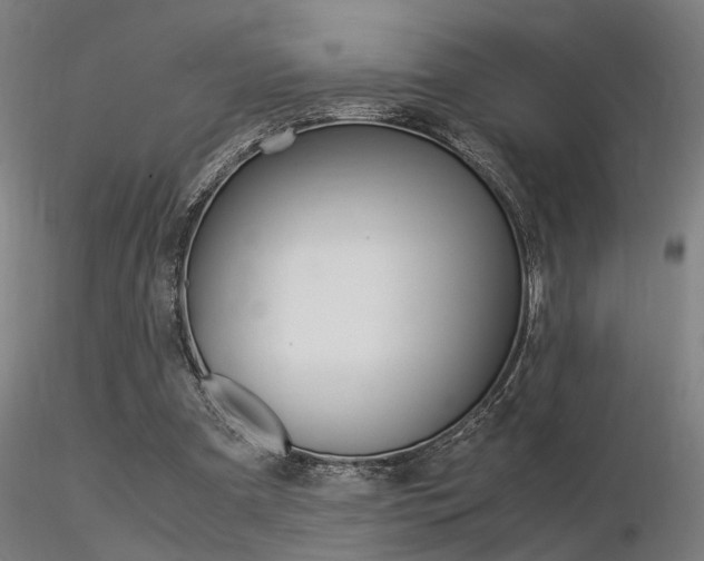 X0000116370297200912021016