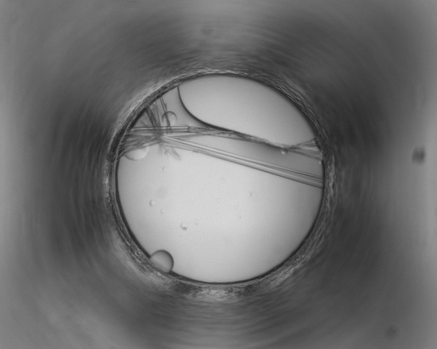 X0000116370298200912021016