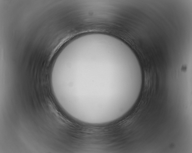 X0000116370300200912021016