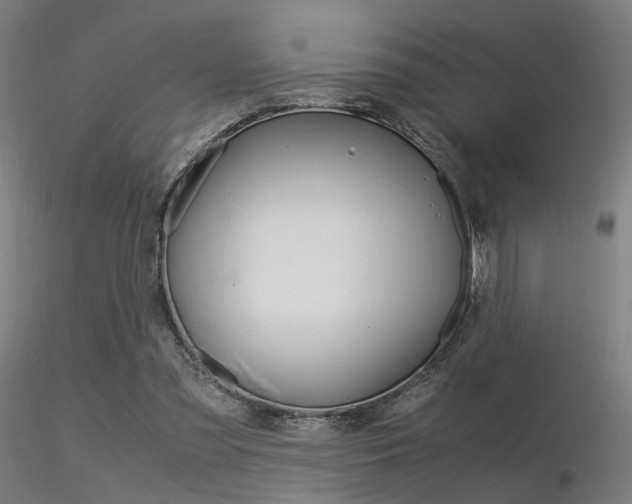 X0000116370301200912021016