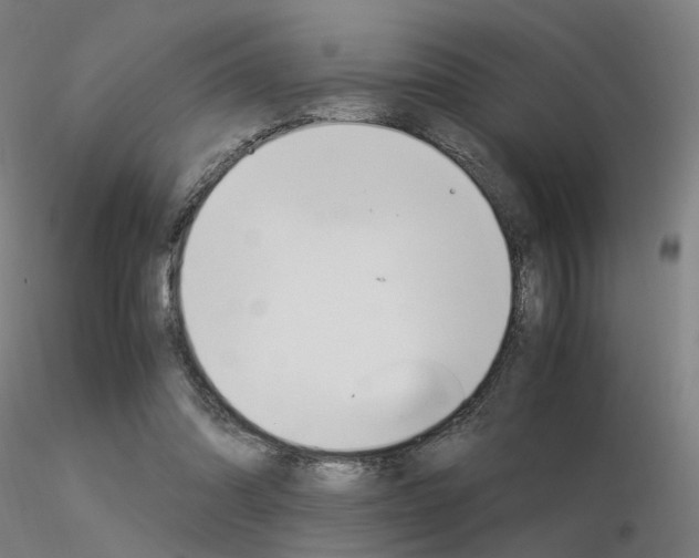 X0000116370302200912021016