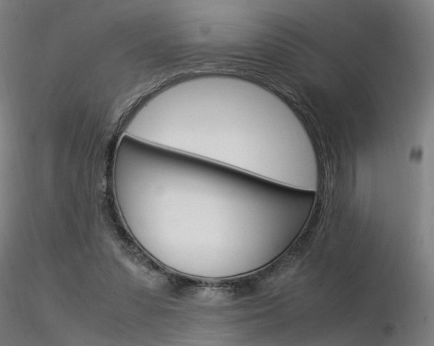 X0000116370303200912021016