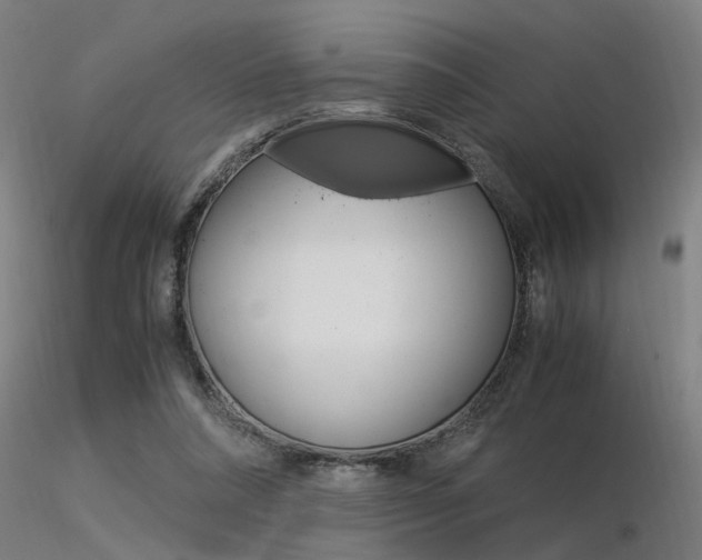 X0000116370304200912021016