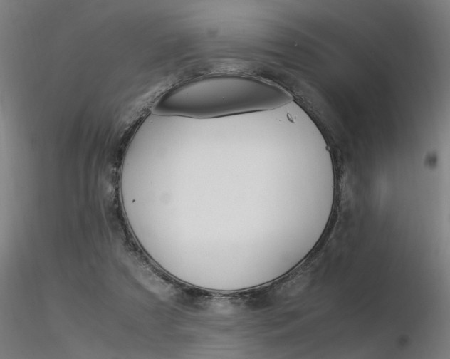 X0000116370305200912021016