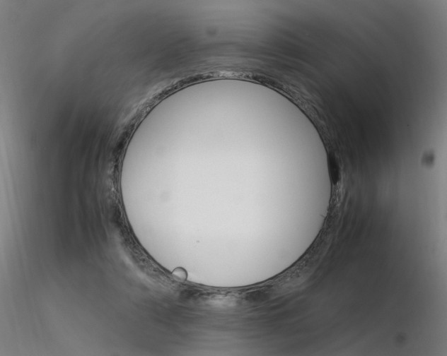 X0000116370306200912021016