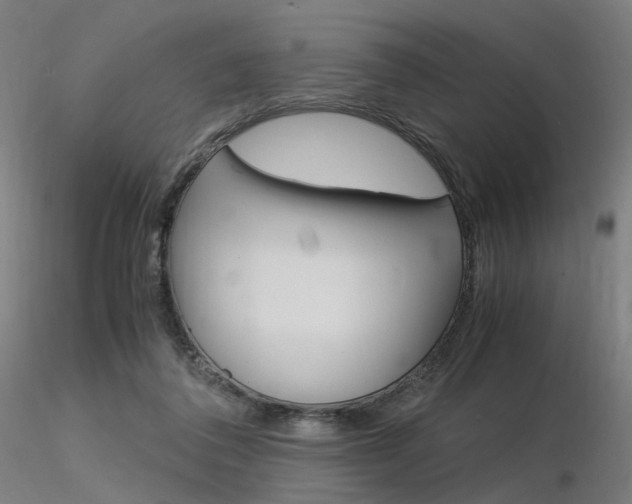 X0000116370308200912021016