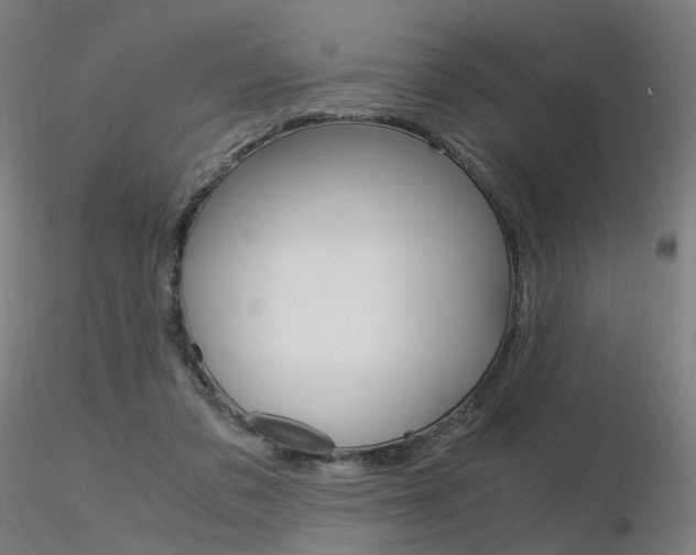 X0000116370309200912021016