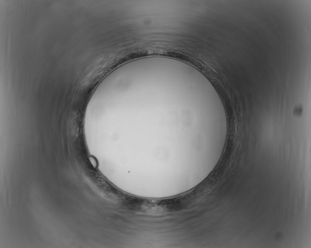 X0000116370311200912021016