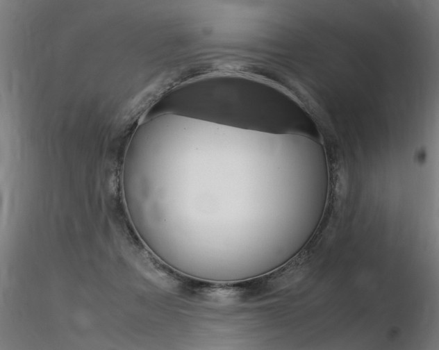 X0000116370313200912021016