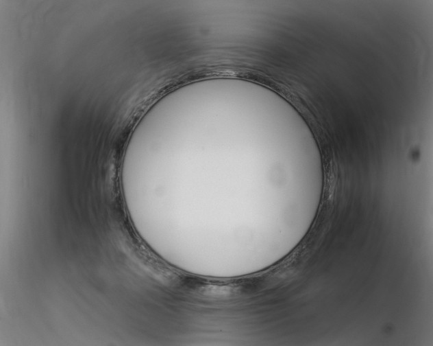 X0000116370314200912021016