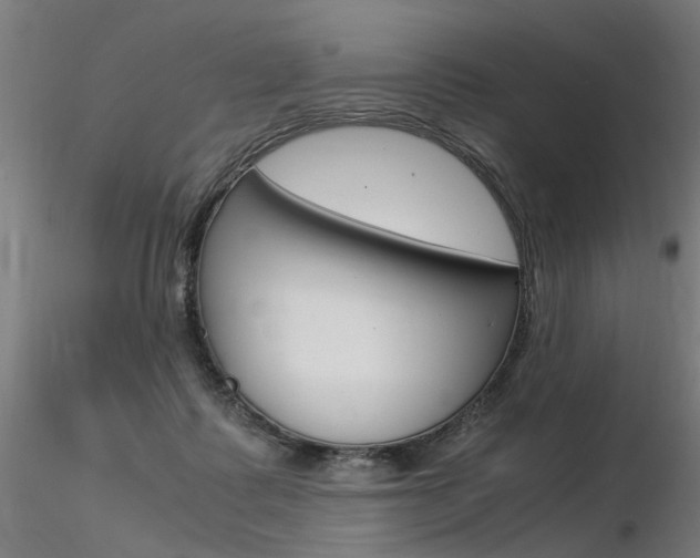 X0000116370315200912021016