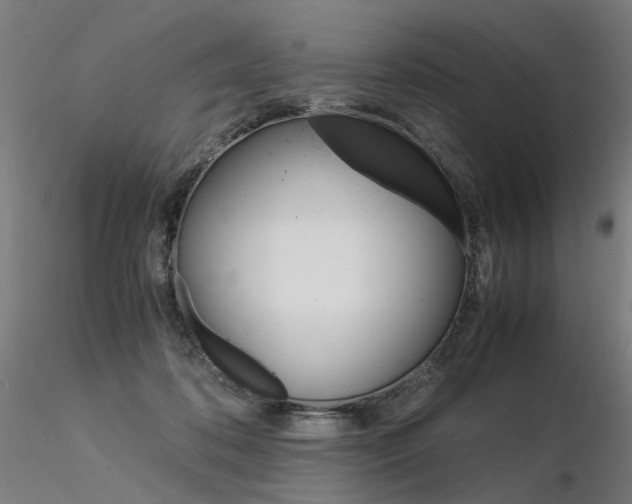 X0000116370316200912021016