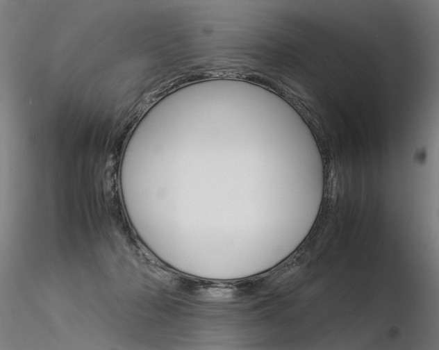 X0000116370318200912021016