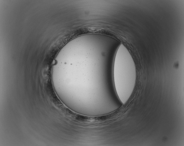 X0000116370319200912021016