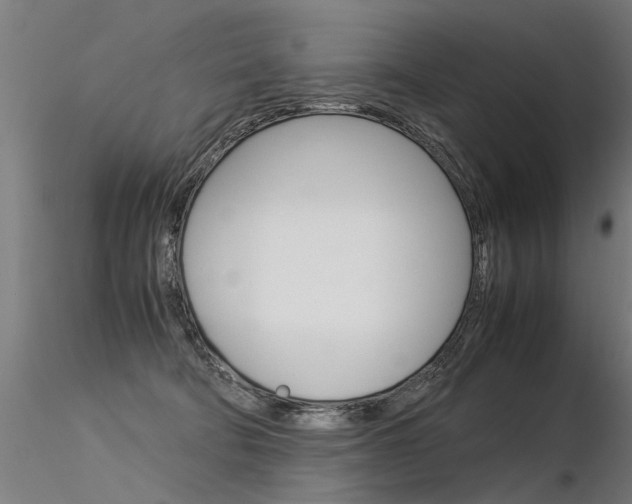 X0000116370322200912021016