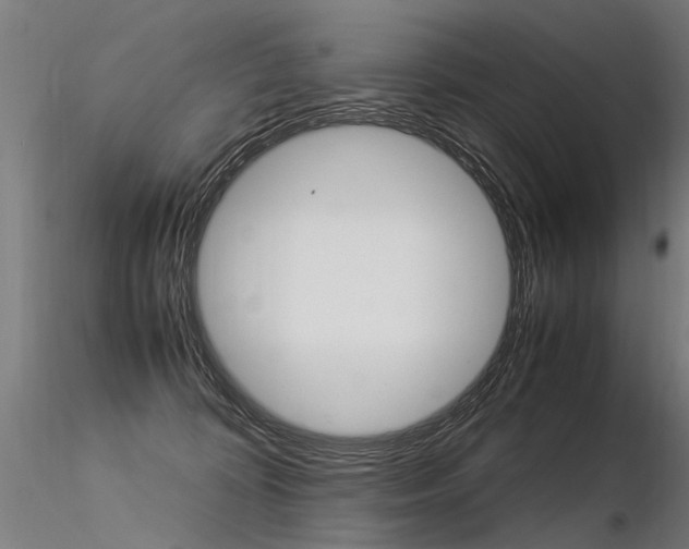 X0000116370324200912021016