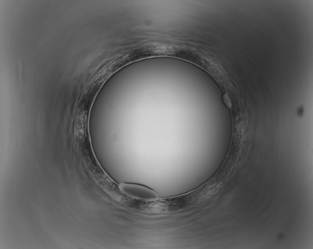 X0000116370325200912021016