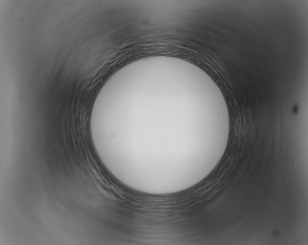 X0000116370328200912021016