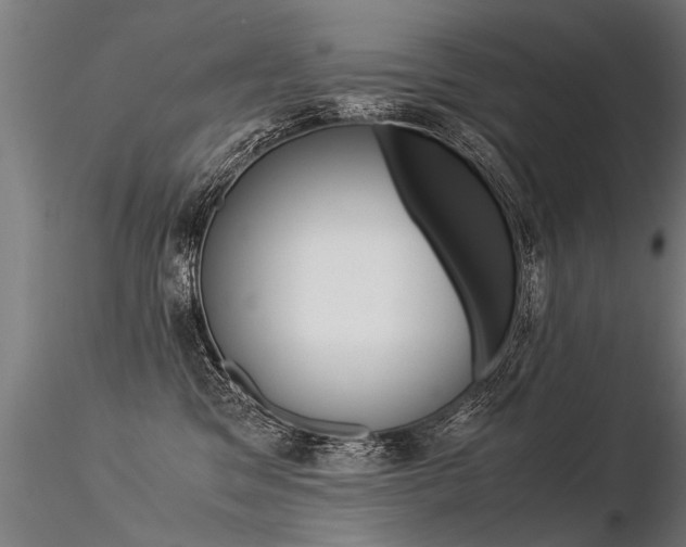X0000116370329200912021016