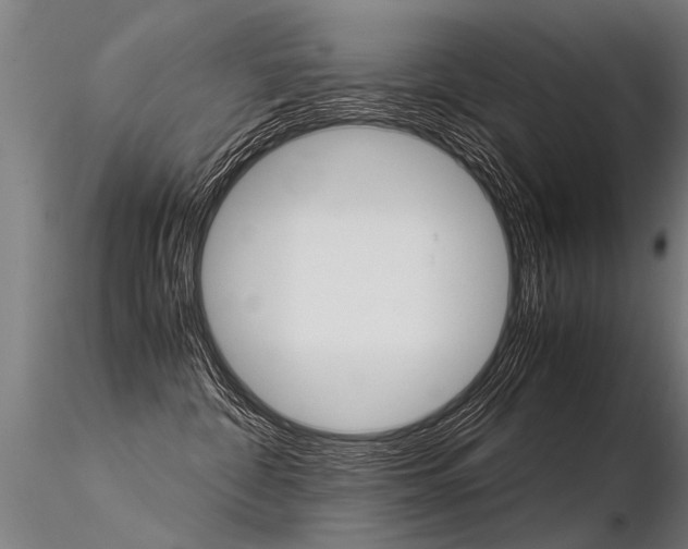 X0000116370332200912021016