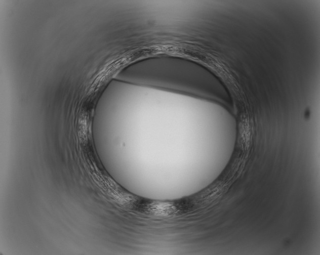 X0000116370333200912021016