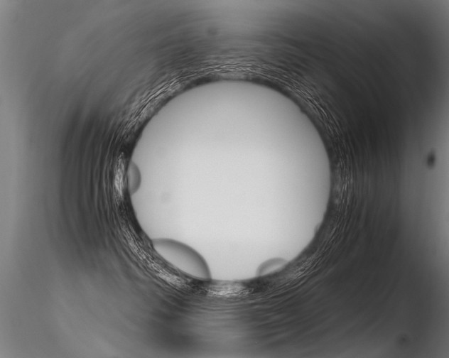 X0000116370334200912021016