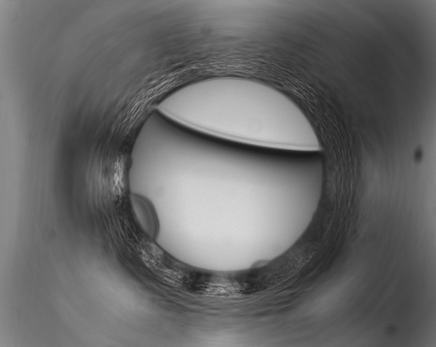 X0000116370335200912021016