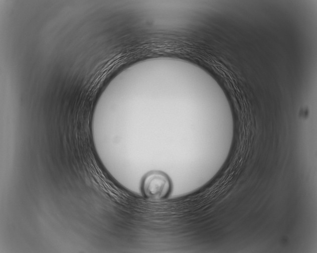 X0000116370336200912021016