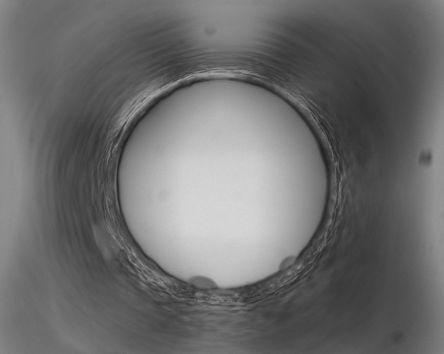 X0000116370337200912021015