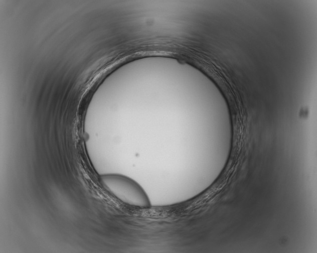 X0000116370338200912021015