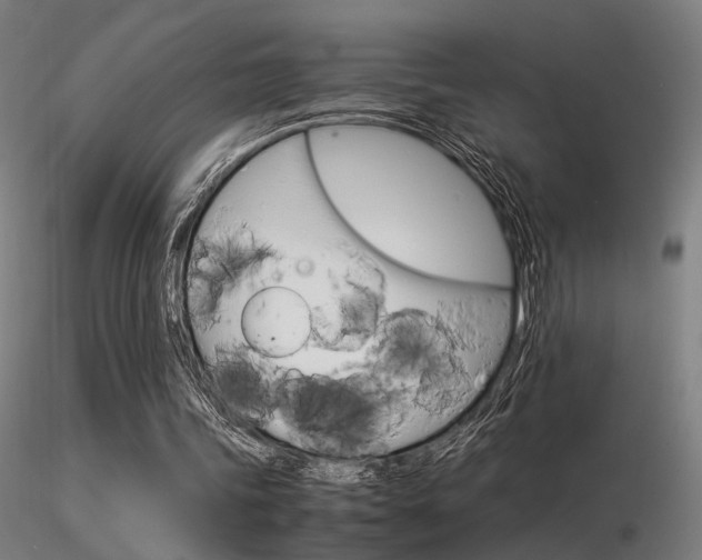 X0000116370339200912021015