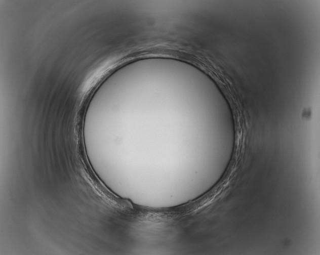 X0000116370341200912021015