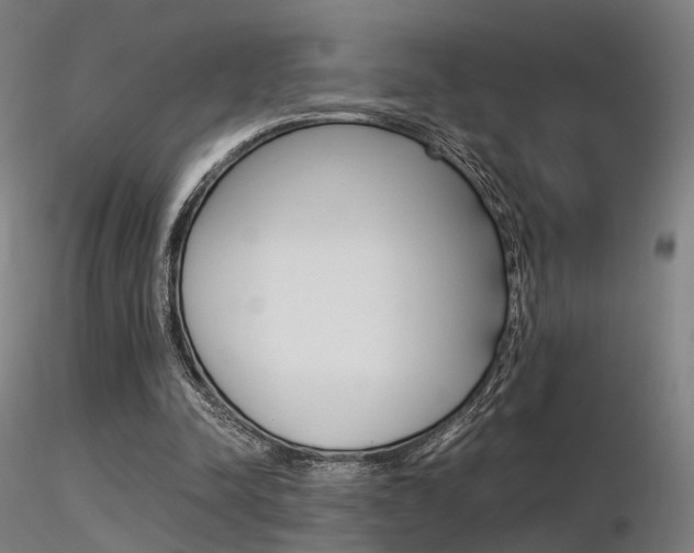 X0000116370342200912021015