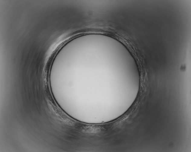 X0000116370343200912021015