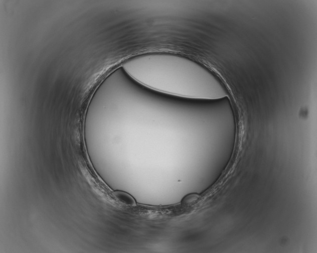 X0000116370345200912021015