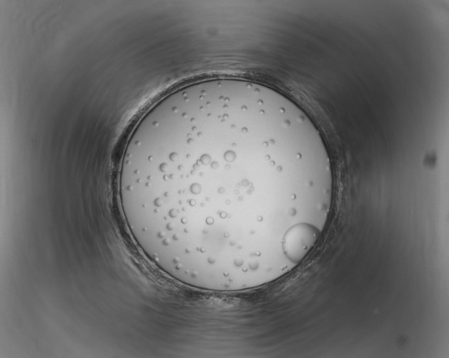 X0000116370346200912021015