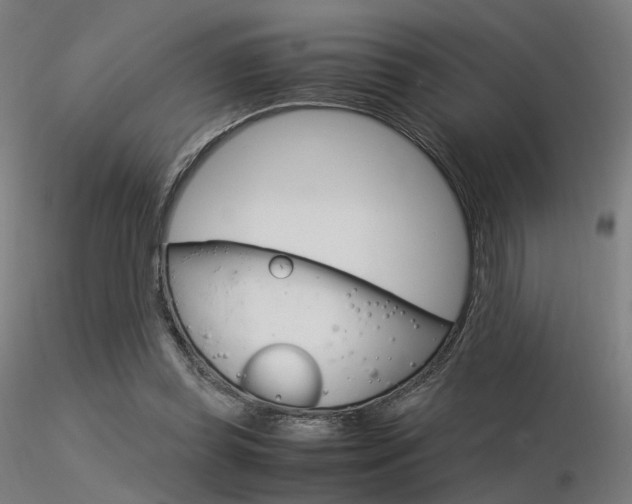 X0000116370349200912021015