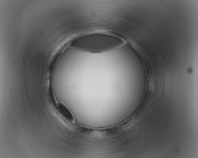 X0000116370350200912021015