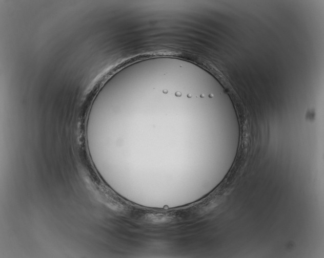 X0000116370351200912021015