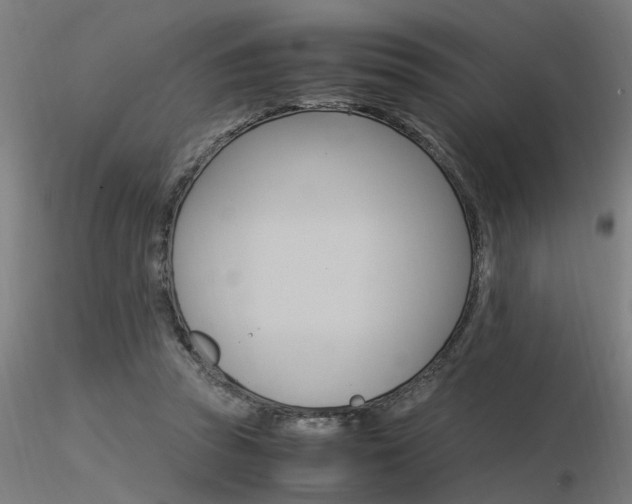 X0000116370353200912021015