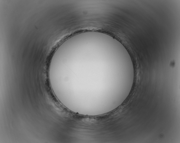 X0000116370354200912021015