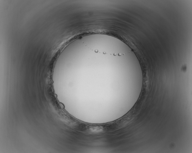 X0000116370355200912021015