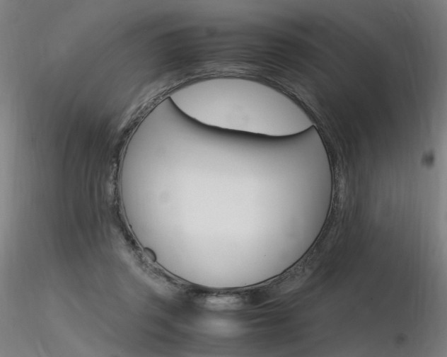 X0000116370357200912021015