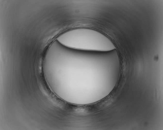 X0000116370358200912021015
